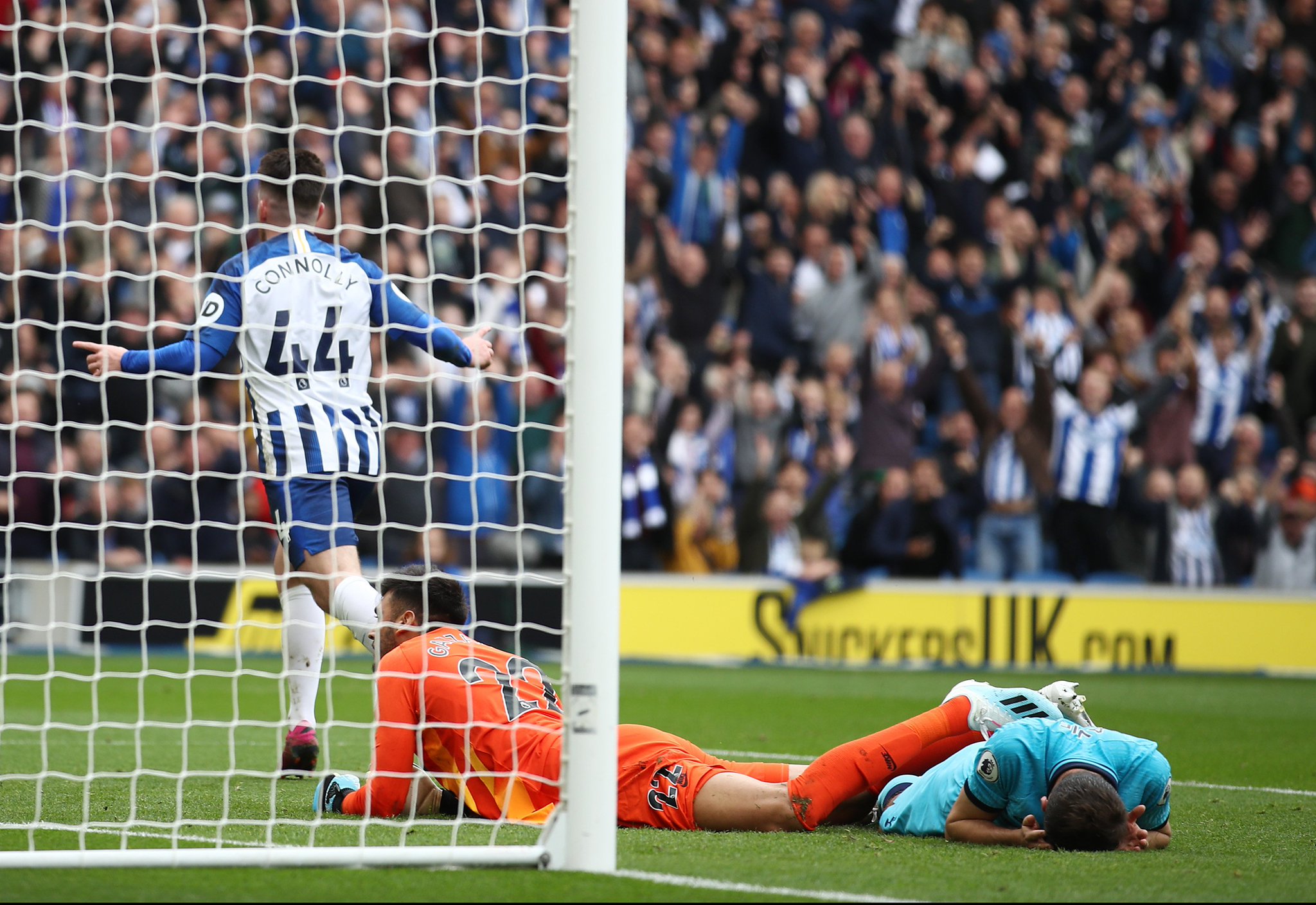 张伟丽不单 张伟丽不单