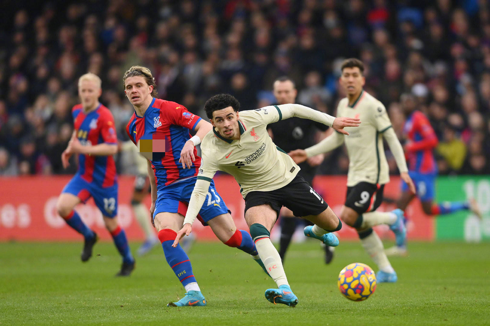 应新的环境 应新的环境